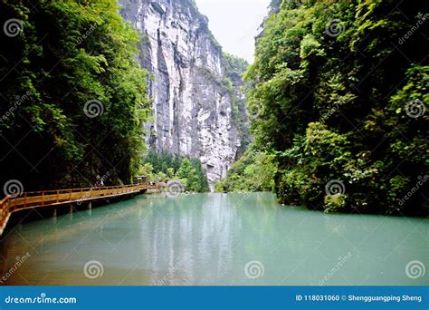 重慶有多少大橋：探討山城之橋的數量與特色